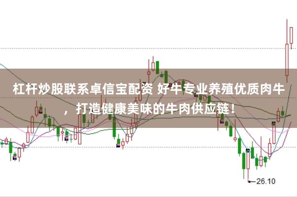 杠杆炒股联系卓信宝配资 好牛专业养殖优质肉牛，打造健康美味的牛肉供应链！