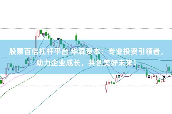 股票百倍杠杆平台 华霖资本：专业投资引领者，助力企业成长，共创美好未来！