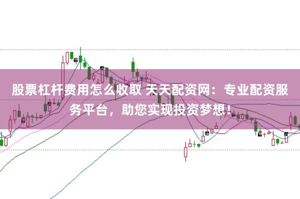 股票杠杆费用怎么收取 天天配资网：专业配资服务平台，助您实现投资梦想！