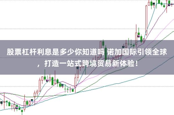 股票杠杆利息是多少你知道吗 诺加国际引领全球，打造一站式跨境贸易新体验！