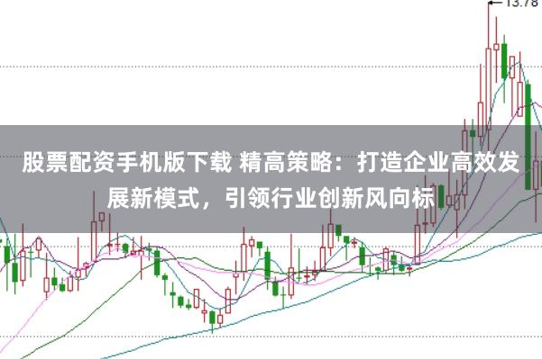 股票配资手机版下载 精高策略：打造企业高效发展新模式，引领行业创新风向标