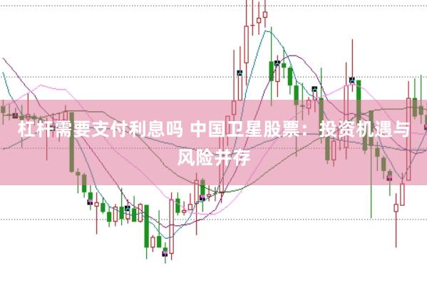 杠杆需要支付利息吗 中国卫星股票：投资机遇与风险并存