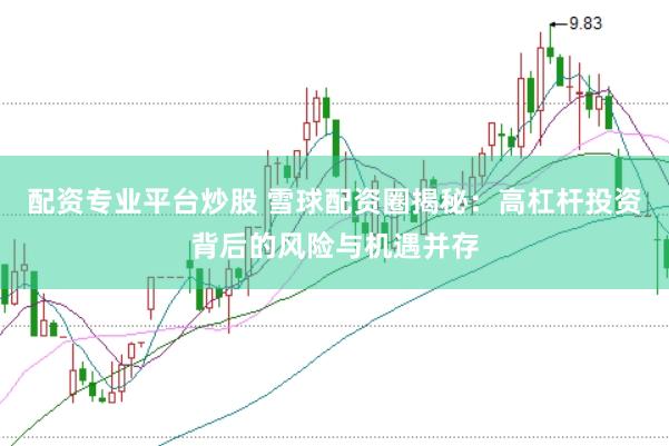 配资专业平台炒股 雪球配资圈揭秘：高杠杆投资背后的风险与机遇并存