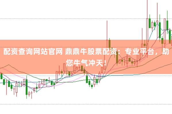 配资查询网站官网 鼎鼎牛股票配资:专业平台,助您牛气冲天!