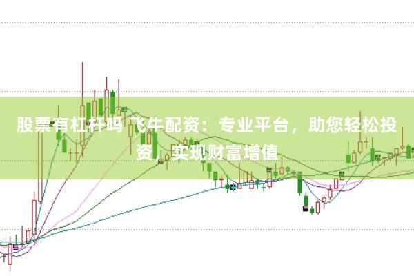 股票有杠杆吗 飞牛配资：专业平台，助您轻松投资，实现财富增值