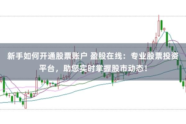 新手如何开通股票账户 盈股在线：专业股票投资平台，助您实时掌握股市动态！