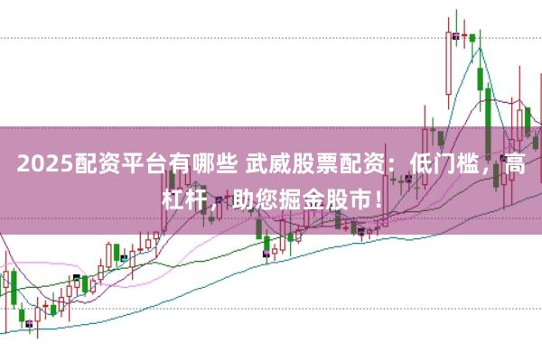 2025配资平台有哪些 武威股票配资:低门槛,高杠杆,助您掘金股市!