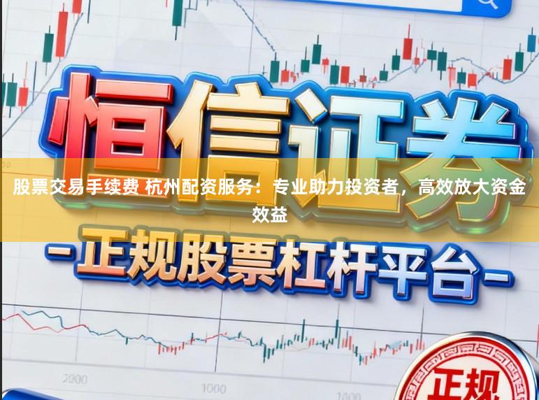股票交易手续费 杭州配资服务：专业助力投资者，高效放大资金效益