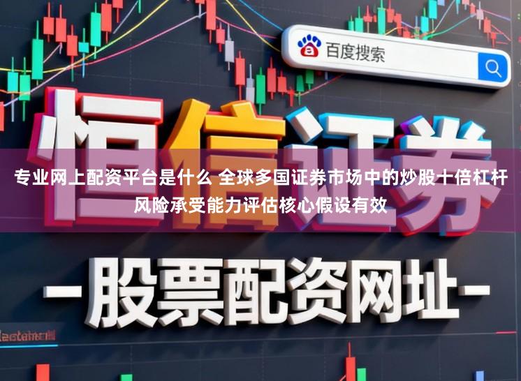专业网上配资平台是什么 全球多国证券市场中的炒股十倍杠杆风险承受能力评估核心假设有效
